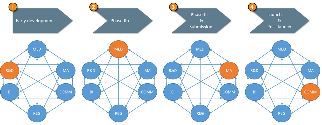 Brand-team-structure-market-access-1