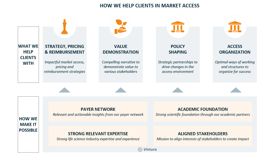 market access domains were Vintura can help